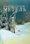 Читать книгу Метель