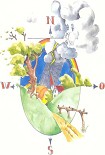 Читать книгу Погода