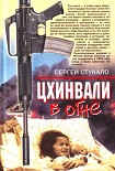 Читать книгу Цхинвали в огне