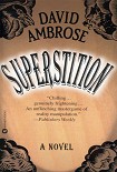 Читать книгу Superstition