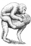 Читать книгу Biological Exuberance: Animal Homosexuality and Natural Diversity