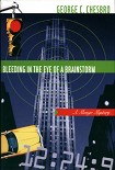Читать книгу Bleeding in the Eye of a Brainstorm