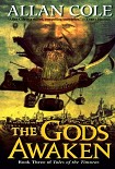 Читать книгу The Gods Awaken