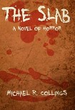Читать книгу The Slab